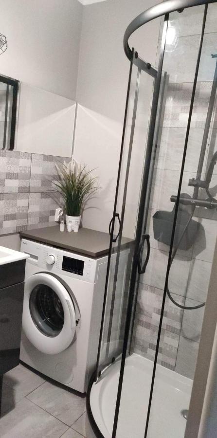 דירות פוזנן Apartament Dolna Wilda - Klucz W Skrytce מראה חיצוני תמונה