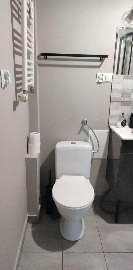 דירות פוזנן Apartament Dolna Wilda - Klucz W Skrytce מראה חיצוני תמונה